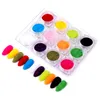 Nail Glitter 1Set Flocking Velvet Powder Färgglada damm för manikyr DIY UV Gel Polish Art Tips DecorationNail