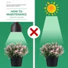 Innenarchitektur Simulation Grüne Pflanzen Realistische Kunstsaga Bonsai für Heimbürointerior