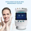 Smart Ice Blue 7 w 1 Diagnoza analizy skóry RF Ultrasund Lon System chłodzenia Dermabrazion Hydrofacial Machine305p