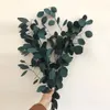 80 g / lot, natuurlijk bewaard gebleven eucalyptus bladeren boeket, eeuwige gedroogde bloem voor bruiloft woondecoratie accessoires, display bloem 220406