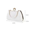 Dames Diner Party Messenger Bag High Fashion Veelzijdige Temperament One Shoulder Chain Draagbare opbergzakken