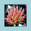 Andere Gartenbedarf Patio Rasenhaus 100pcs/Bag Helia Succent seltene ständige Kräuterbonsai -Pflanzen Innenblumentopf für Florentopf DIY DRO