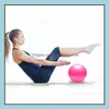 mini pilates ball