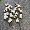 Couronnes de fleurs décoratives Fleurs de coton séchées artificielles Branche de fleurs blanches 220823