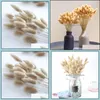 Dekorativa blommor kransar 30st / set naturtorkat bouqet arrangemang i vashundar svans gräs för dekoration DIY Wedding Home Wall Drop de