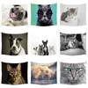 3D Creative Cool Cats Series Modèle Polyester Tapestry Pug Animal Imprimé mur suspendu salon Home Decoration J220804