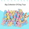 Jouets pour chiens de compagnie, jouets à mâcher en caoutchouc grinçant pour chat, chiot, bébé chien, jouet en caoutchouc Non toxique, boule d'os amusante, jeu interactif