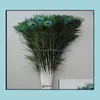 Feathers Retail Services Office School Business Industrial Wholesale 100st/Lot 10-44 tum/25-110 cm Beautif Högkvalitativ naturlig påfågel Ey