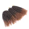 8 Inch Passion Twist Hair Short Marlybob Crochet Hair Synthetic Ombre Braiding Hair Extensions Small Afro Kinky Curly Twist Braid LS05