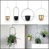 Plantenbakken Potten Tuinbenodigdheden Patio Gazon Thuis Metalen Plantenhanger Ketting Hangmand Bloempothouder Balkon Cachepot Voor Flowe2021861