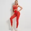 Seamless Yoga Clothes Two-Piece Set Womens Hip Raise Skinny Workout Clothes Set Bra Running Exercise Vest Suit