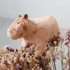 Leuke simulatie dier capybara pluche speelgoed capybara poppen gevuld zachte dieren kinderen speelgoed kinderen peluche kerstcadeau 220701