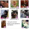 Rhinestone köpek yakaları yay ve taç ile sevimli göz kamaştırıcı yumuşak kadife köpekler kedi yaka tasma kristal elmas köpek yavrusu yakalar 12 renk toptan b111