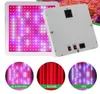 냉각 팬이있는 Led Grow Light Full Spectrum Phyto 램프 수경 실내 식물을위한 식물 조명 LED 야채와 꽃