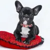 Moda de gola de cachorro personalizada nylon impressão personalizada colarinho de cachorro colarinho de cachorro de cachorro grátis id para cães pequenos médios grandes 220608