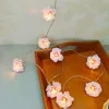 Cordes Rose Cerisier Guirlande Lumineuse 1.5M 10LED Fleur Fée Guirlande Décoration Saint Valentin Printemps Mariage Anniversaire