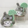 Big Size 20cm/30cm fofo meu vizinho Totoro Plush Toy Lovely Anime Lotus Leaf Totoros Toys de pelúcia Presentes LA449