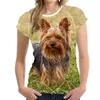 メンズTシャツ夏のファッションかわいい動物犬3D印刷ガール/女性用Tシャツoネックショートスリーブ特大のTシャツ男性COLTONG TOP