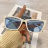 Trendige Cat Eye Sonnenbrille mit kleinem Rahmen, Herrenbrille, Damenpersönlichkeit, Retro-Brille 006349a