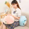 CM Söt hajval Dolphin Seal Cuddles Kawaii Ocean Life Filled Pillow Children Creative Gift for Girl Boy J220704