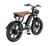 Snow Electric Bike Electric Assisted Mountain Bike Beach Snow Tyre Electric Bike Motorcycle