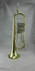 Brass body Gold lacquer Tone Bb Rotary Flugelhorn