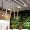 Kolye lambalar Modern LED uzun tüp ışıkları sayacı asılı Mutfak Yemek Odası Droplight Silindir Boru Aydınlatma Ev Dekorpendant