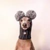 كلب ملابس سوبر لطيف قبعة السلوقي الإيطالية المنسوجة يدويًا مع اثنين من بوم بومس للحيوانات الأليفة HatsDog