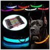 Collari per cani Guinzagli Collare luminoso per animali domestici Collana con luce a LED illuminata colorata per cani di piccola taglia media