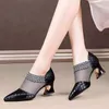 Dress Shoes Summer Women High Heel Mesh Breathable Pumps Zip Pointed Toe Thick Heels Fashion Female Elegant FootwearDress