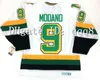 QQQ8 Vintage Mike Modano Hockey Jersey Dino Ciccarelli Broten J.P. Parijse Craig Hartsburg Brian Bellows Jon Casey Brett Hull Green White