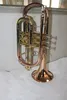 Gouden lak fosfor koper leadpipe en klok tone bb cornet