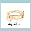 Pierścienie zespołowe biżuteria regulowana 12 konstelacji pierścionek literowy dla kobiety otwierającej ślub ślub ze stali nierdzewnej Sier Gold Zodiac Finger Palec Drop