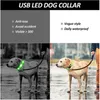 Collar de perro led brillante collar luminoso nocturno correa de perro ligero para niña accesorios de seguridad para mascotas de gato 220610