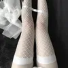 Meias Hosiery Summer Women Women Sexy Fishnet meias Hollow Out Transparent Knee High Kawaii Longo Coreano Gothicsocks