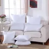 Classique 9 taille solide pur coussin noyau drôle tête douce oreiller intérieur PP coton remplissage personnalisé coussin de soins de santé remplissage 220809