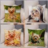 CASE CASE MINI Yorkshire Terrier Super Super Plush Plush Cover 45 45cm Cushion Costerpillpillows Case Decor Decor Coves Covers 220623