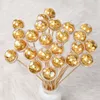 50st Clear Chocolate Box Truffle Liner Flower Candy Box Bouquet Chocolate Ball Holder Case Valentines Day Present Box Party Decor 22245T