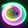 Remsor adresserbara LED Neon Rope RGB Pixel Light SK6812 WS2812B WS2811 5V 12V 60LEDS/M Vattentät kommersiella remsljus 1m 2m 5mled remsor