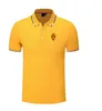 Real Zaragoza Men's and Women's Polo Shirt Silk Brocade Kort ärm Sports Lapel T-shirt-logotyp kan anpassas