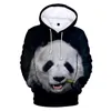 Męskie bluzy bluzy Pełna druk panda mężczyźni kobiety pullovers hip hop streetwear jesienne dzieci dzieci swobodne chłopcy dziewczęta dressmen's