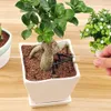 3 Mini Bahçe Kürekleri Tırmık Kürek Elamientas Bonsai Araçları Set Ahşap Saplı Saksı Bitki Bahçeleri Araçları Envanter Toptan