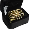 High-quality professional trumpet brass gold-plated pocket trumpet B-flat professional-grade tone jazz instrument palm number
