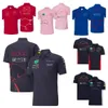 Camiseta con solapa del equipo de Fórmula Uno F1, nuevo traje Polo del equipo de verano, misma personalización