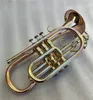 cornet d'instruments en laiton