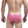 Slip Sexy hommes sous-vêtements slips rayure Jockstrap Gay hommes Cuecas bref Bikini sous vêtements Srting homme E-087Underpants