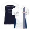 F1 racing suit Mens short-sleeved team lapel T-shirt Formula 1 POLO shirt The same custom car fan shirt