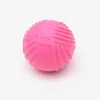 Dog Toys Footprint Rubber Dog Ball Toys Bite Resistant Chew Toy for Small Dogs Puppy Game Play Squeak Interactive