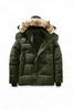 Jassen Donsjacks Heren Ontwerpers Parka's Homme Outdoor Winterjassen Bovenkleding Grote bontcapuchon Fourrure Manteau Hiver Parka Doudoune 423