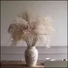 Guirnaldas de flores decorativas Decoración de hierba de pampa seca natural Ramo artificial real para el diseño del lugar de la boda Elegante interior Gota Deli